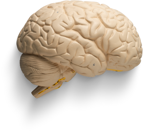 Premium isolated images